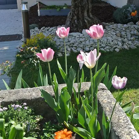 Bed & Breakfast B&B Clos Les Arpents Verts